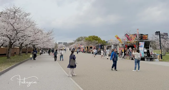 福岡城跡「舞鶴公園」散策指南：在地人帶你走訪福岡城石垣、探尋四季流轉的美景