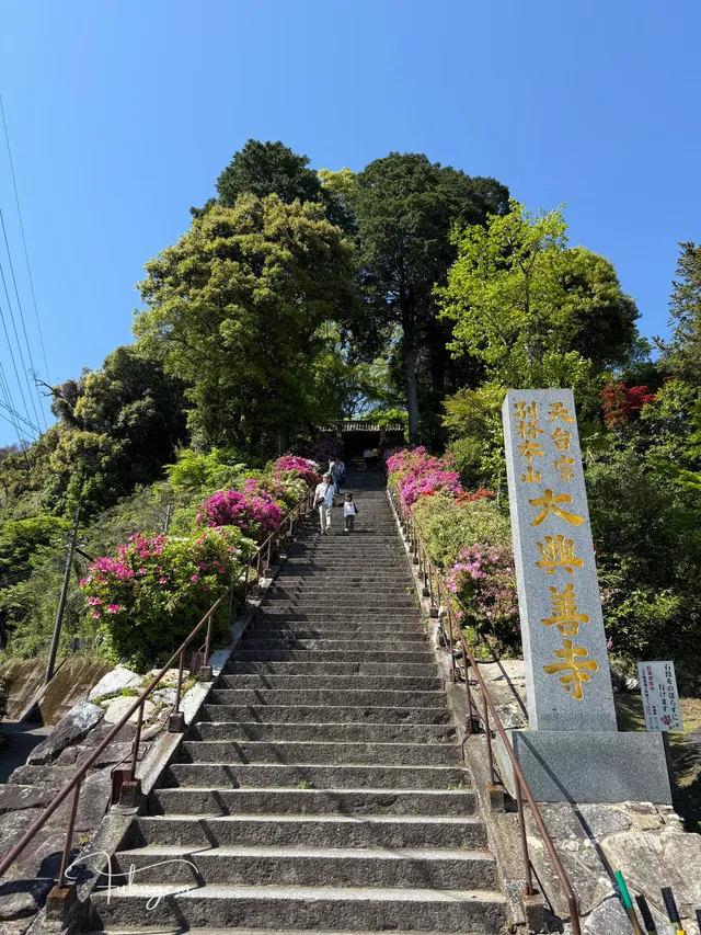 大興善寺春與秋：杜鵑花海與楓紅絕景，佐賀賞花賞楓深度攻略